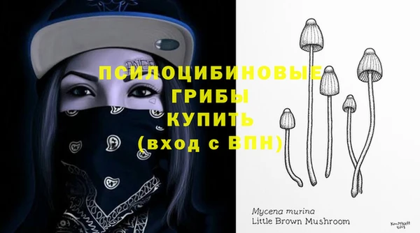 a pvp Абдулино
