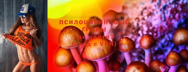 амф Абаза