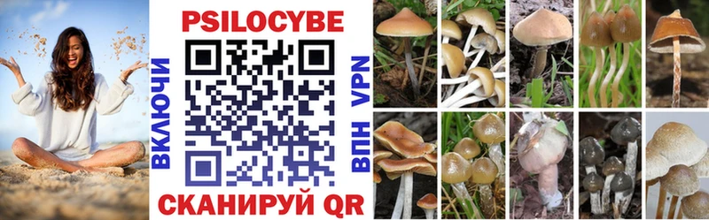 Псилоцибиновые грибы мицелий  Краснозаводск 